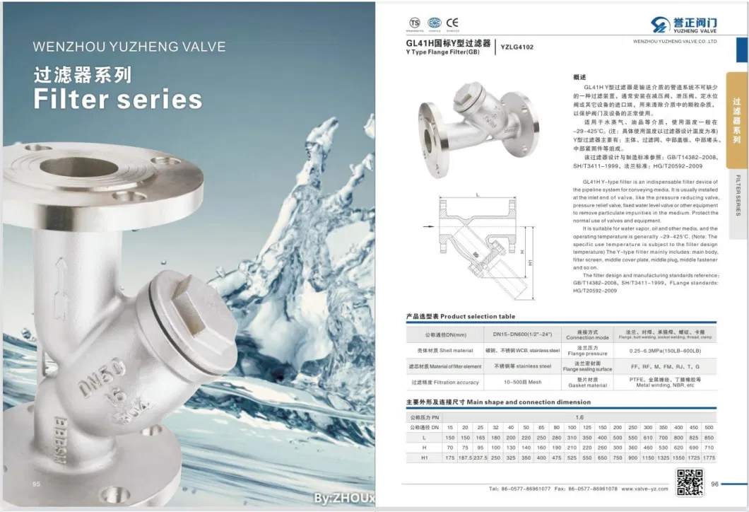 Stainless Steel SS304/SS316 Thread Type NPT, BSPT, Bsp Y-Strainer/Filter