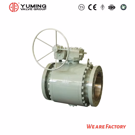API 6D&API608 Acier moulé, WCb, acier au carbone, acier inoxydable CF8, CF8m, A105/F304/F316 Robinet à bille monté sur tourillon de pipeline à bride 2 PC avec fonctionnement par engrenage