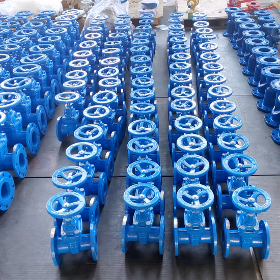 BS 5150/ DIN 3352 F4 F5/ Awwa C515 Double bride 2